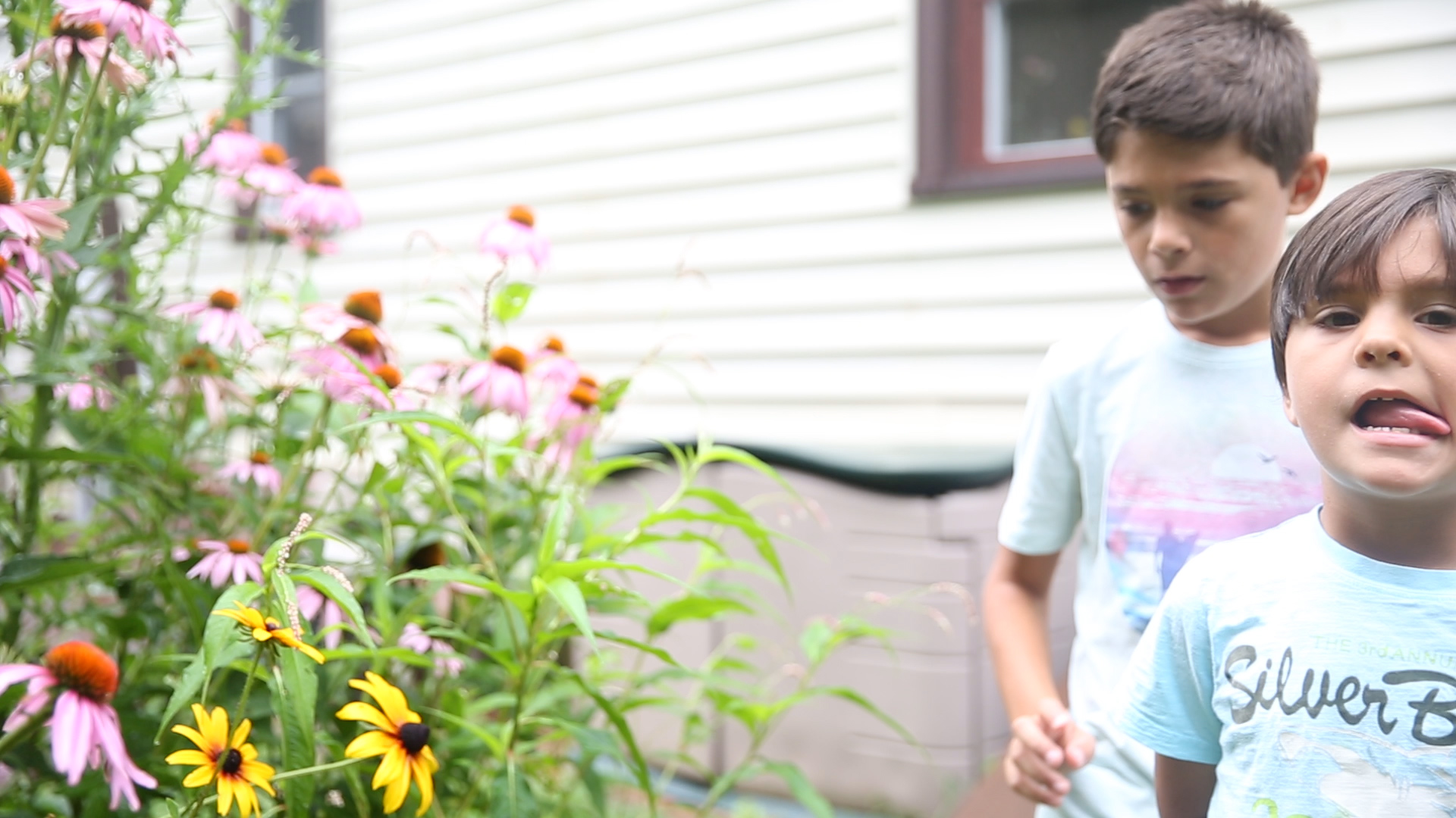 Garden Boys: Aaron (7) & Noah (5) Are a Raging Business Success